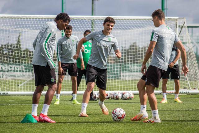 森林狼险胜独行侠升至西部第八 灰熊大胜黄蜂